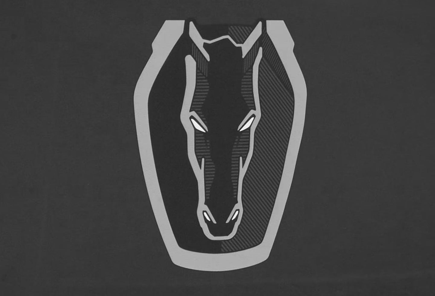 2024-2025 Ford Mustang GT Dark Horse w/ Handling Package OEM Indoor Car Cover