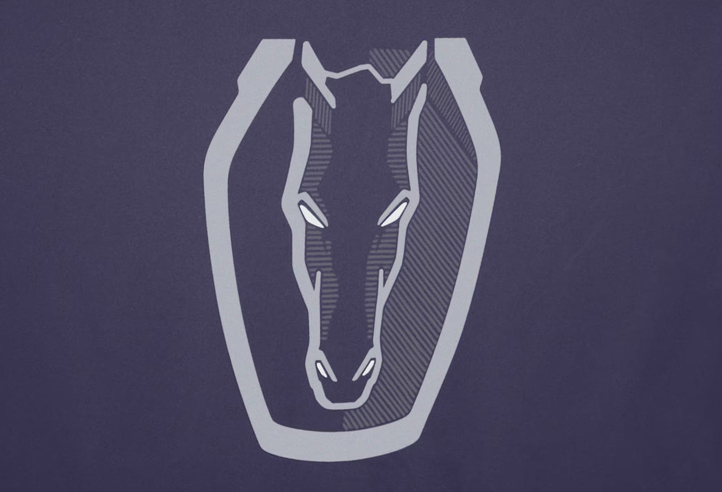 2024-2025 Ford Mustang GT Dark Horse w/ Handling Package OEM Outdoor Car Cover