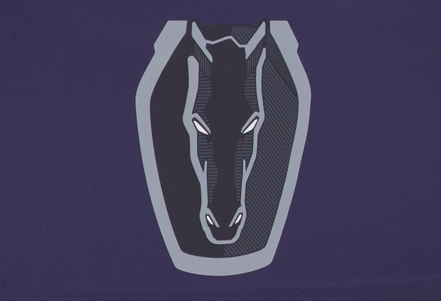 2024-2025 Ford Mustang GT Dark Horse OEM VRR3Z-19A412-N Blue Outdoor Car Cover