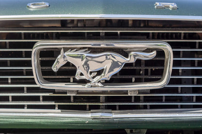 1966 Ford Mustang Standard Front Grille & Chrome Running Horse Emblem