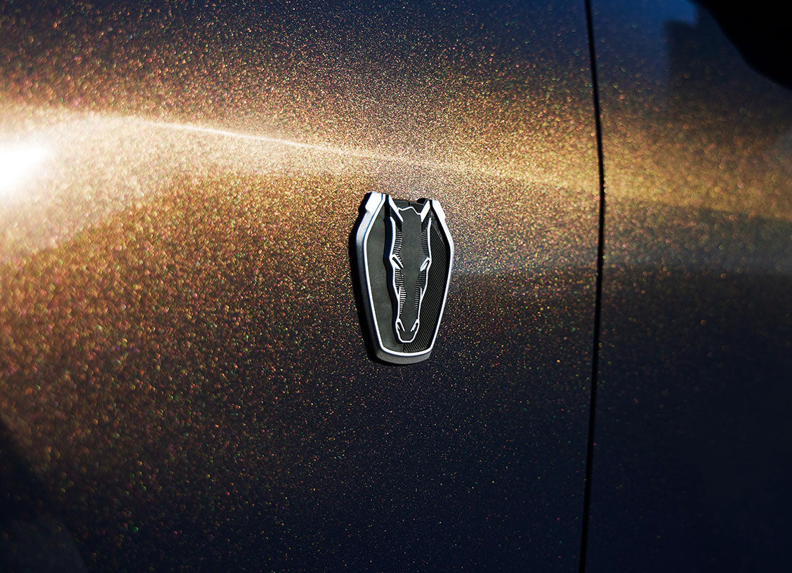 2024-2025 Ford Mustang GT Dark Horse OEM Black OEM Grille Fender & Deck Lid 4pc Emblem Set