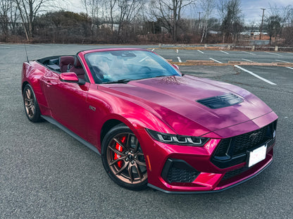 2025 Ford Mustang OEM 2-In-1 Touch Up Paint Bottle Molten Magenta Metallic DT & Clear Coat