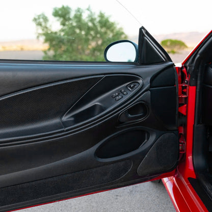 1994-2004 Mustang & Cobra Coupe LH Driver Side Door Window Insert Panel Housing Black