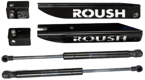 2005-2014 Mustang GT V6 Roush Engraved Stage 3 RS3 Hood Struts Lift Kit 421236