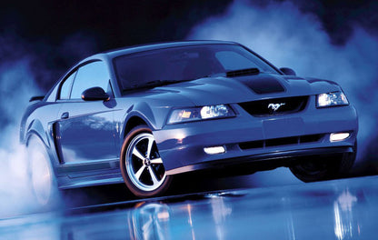 1999-2004 Ford Mustang Mach 1 Radiator Grille Delete Cover Filler Panel Black