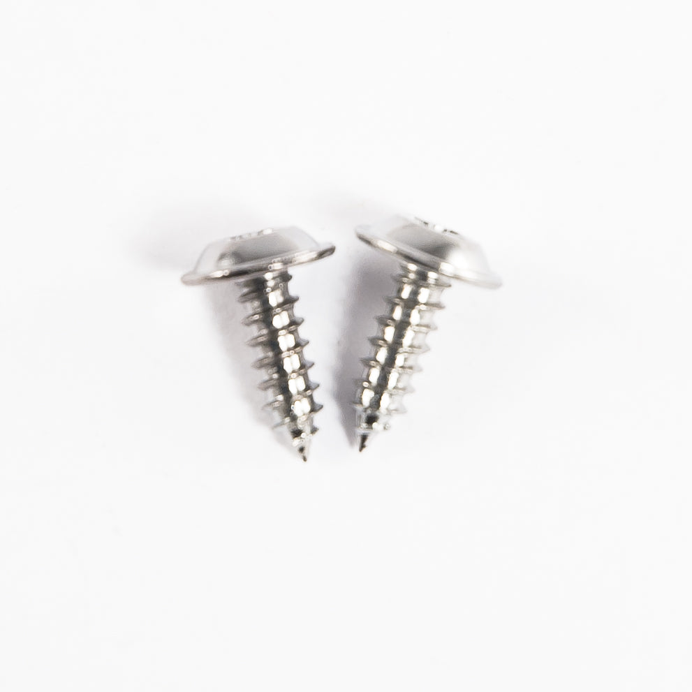 1979-1986 Mustang Stainless Steel A-Pillar to Door Trim Screws (2 pcs)